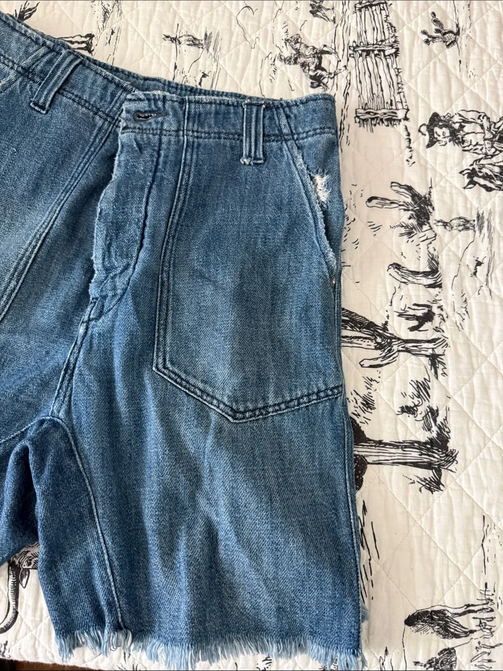We The Free Blue Denim Shorts